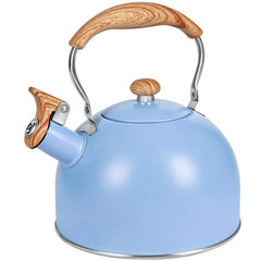 GGC whistling tea kettle stainless steel on stove top