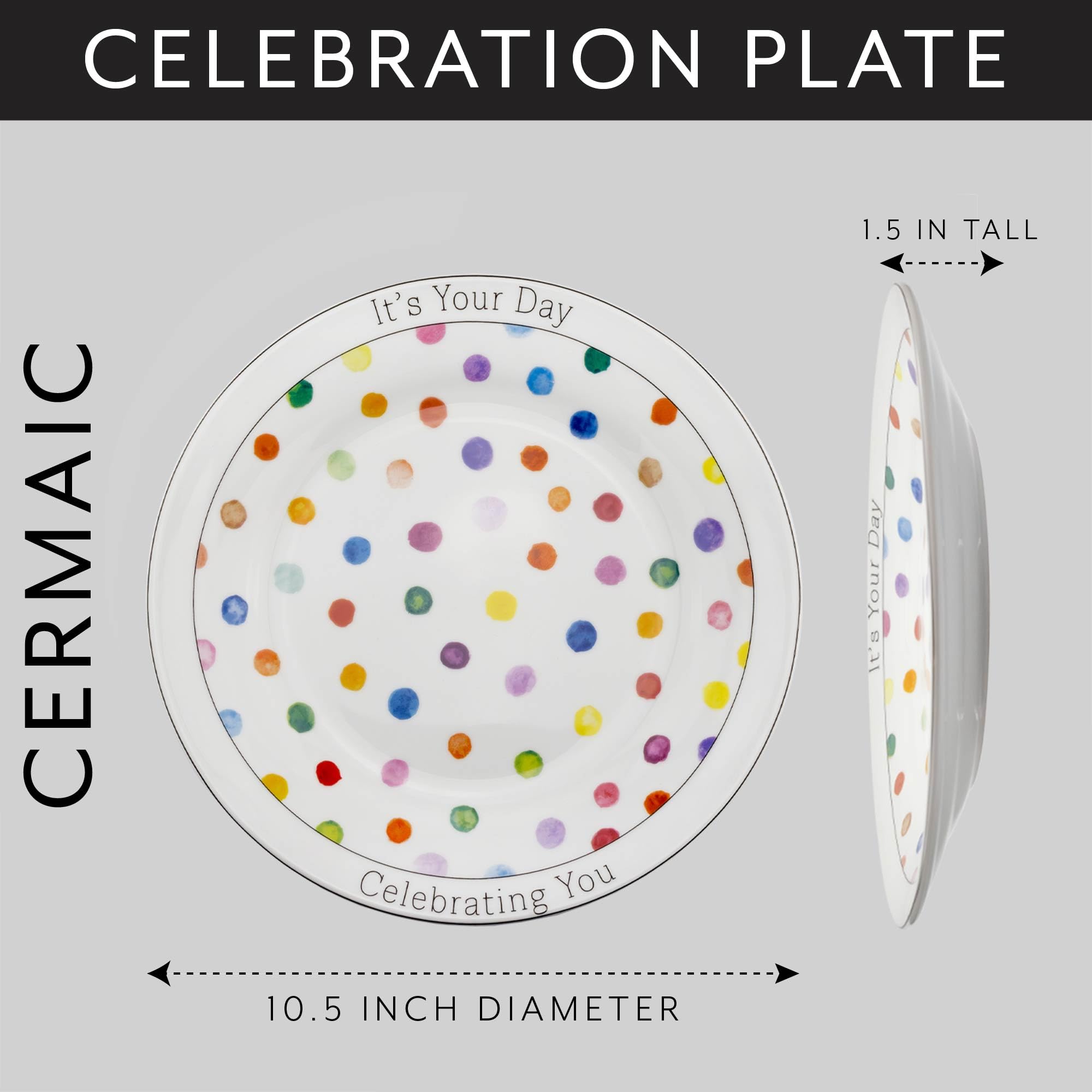 Dishwasher and microwave safe plate