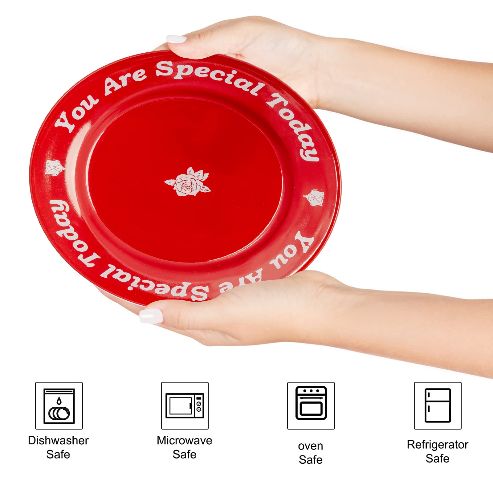 Ceramic plate microwave and dishwasher safe