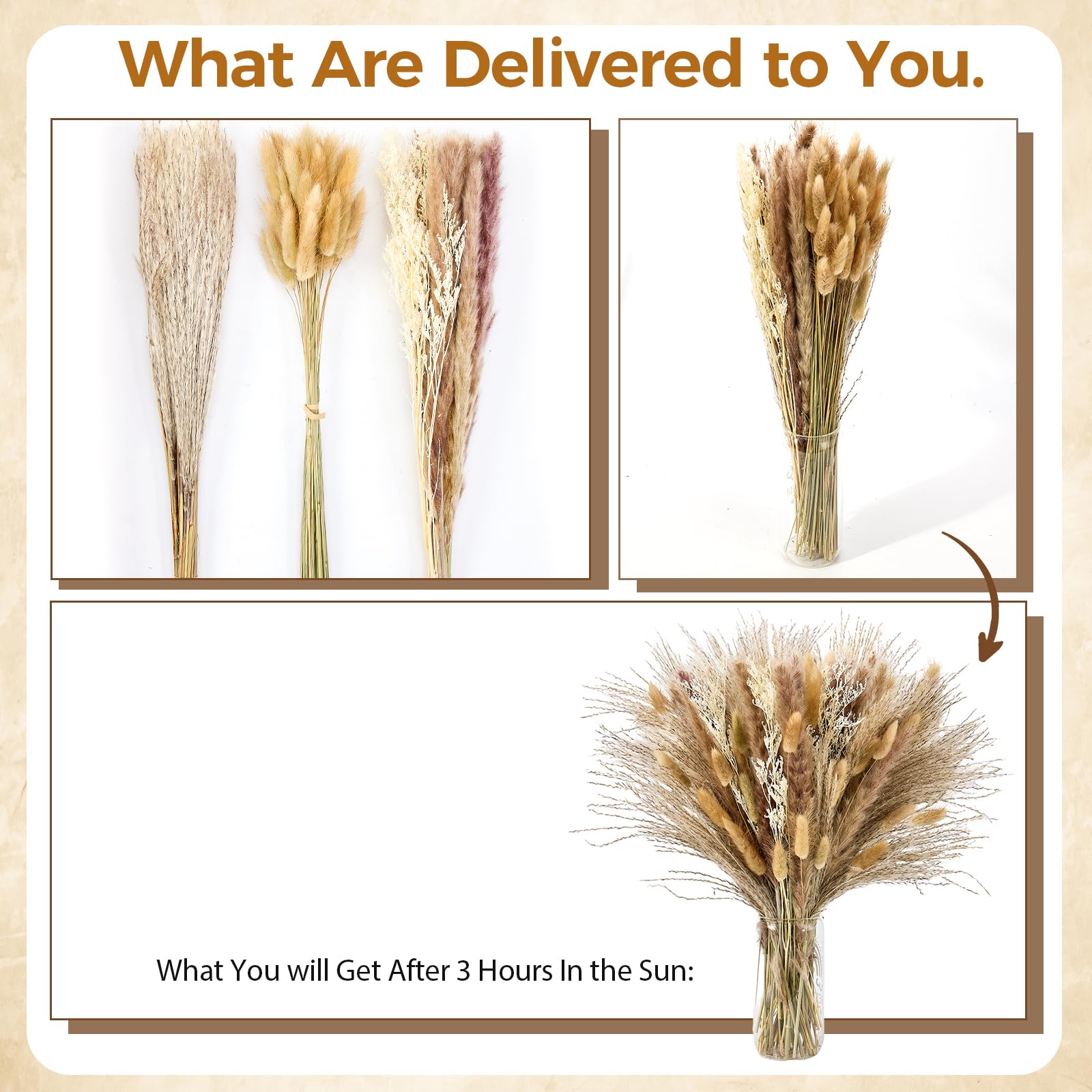 Gift-ready box packaging for pampas bouquet