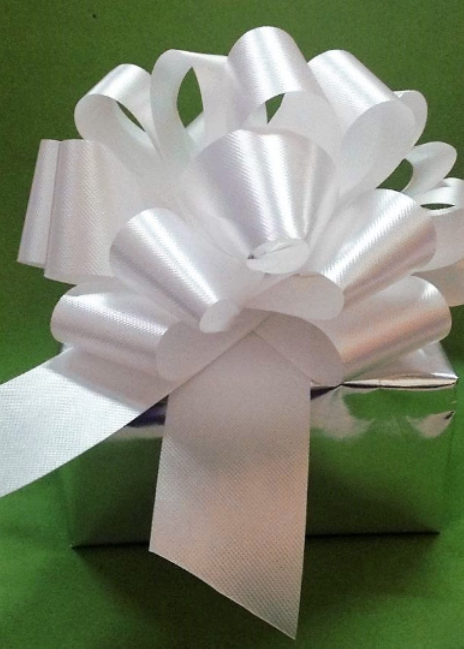 Feathers visible through back of ornament