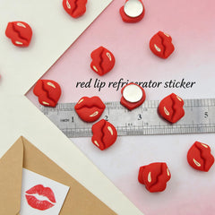 Resin lip magnets for kitchen memo notes