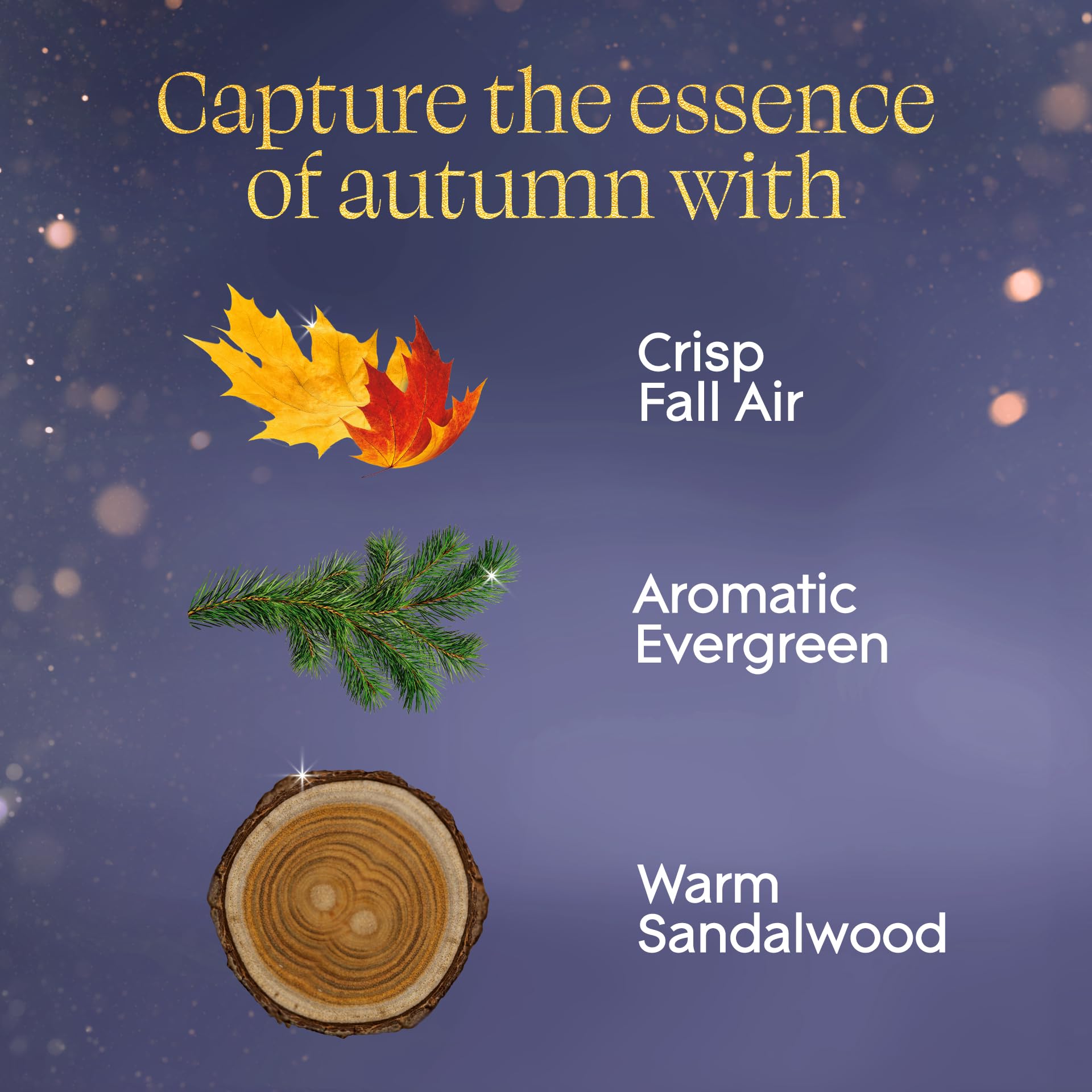 Fragrance infused with essential oils in Embers Sandalwood refills