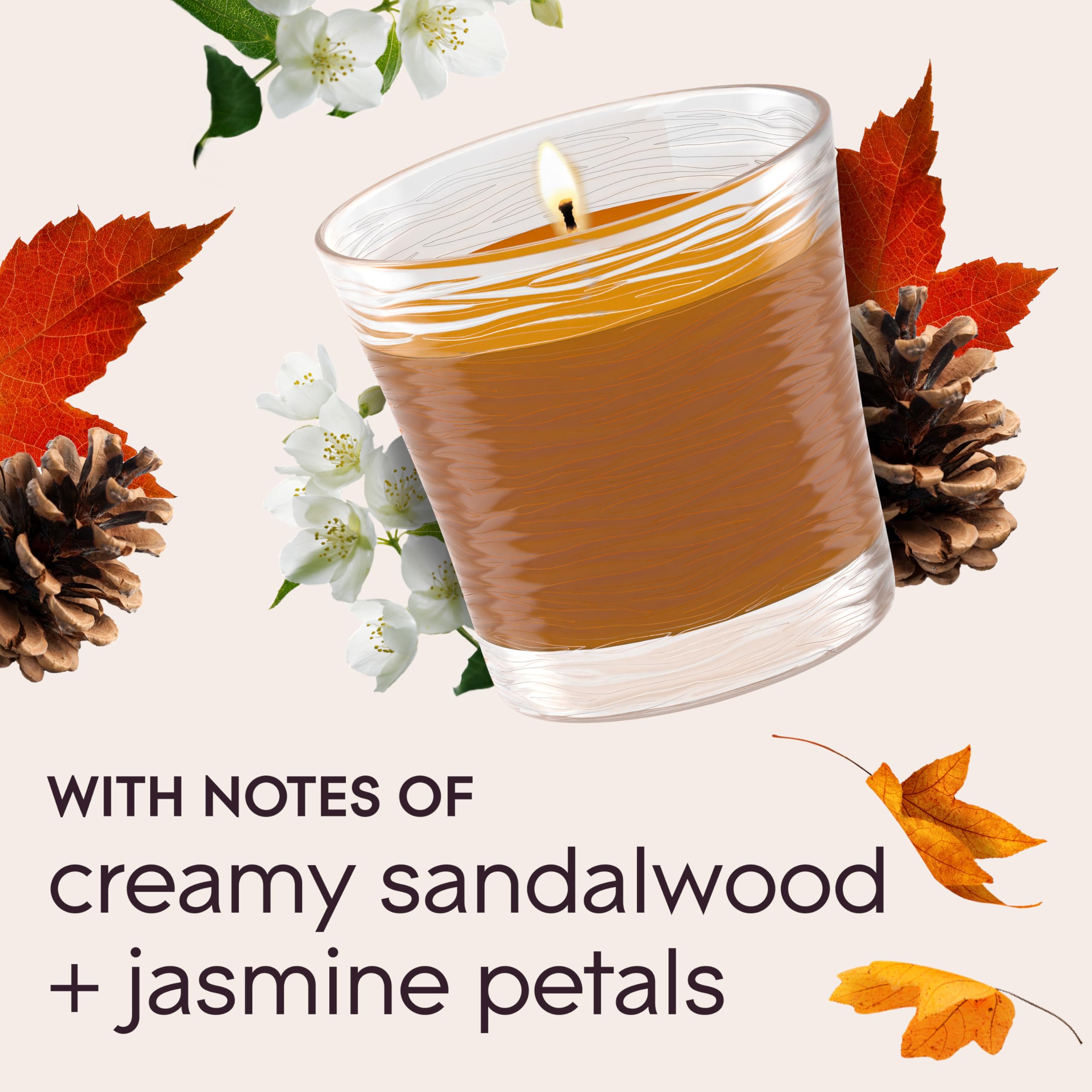 Glade Essential Oils candle Cashmere Woods 4.08 oz 2 Count