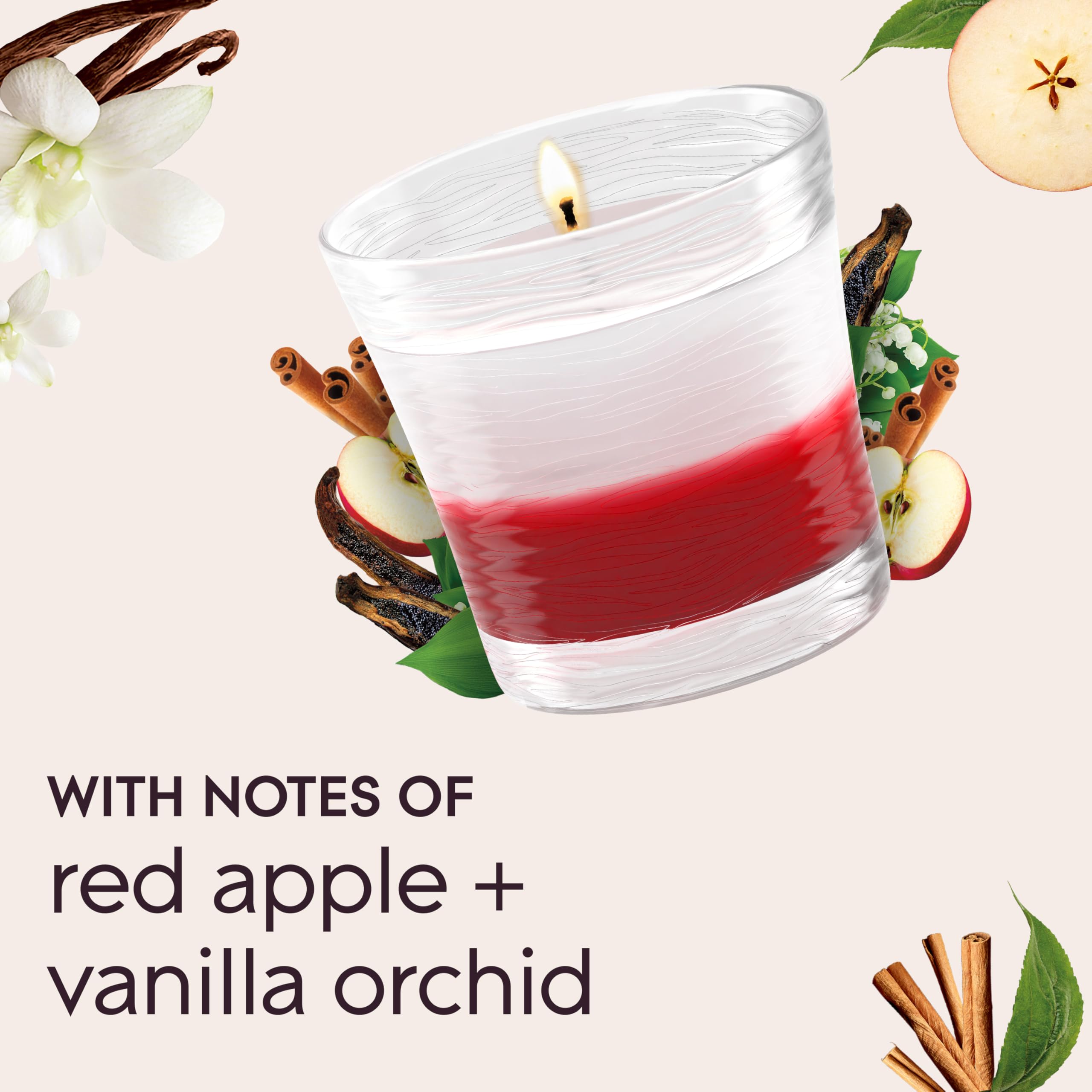 Glade vanilla embrace and apple cinnamon scent profile in jar candle
