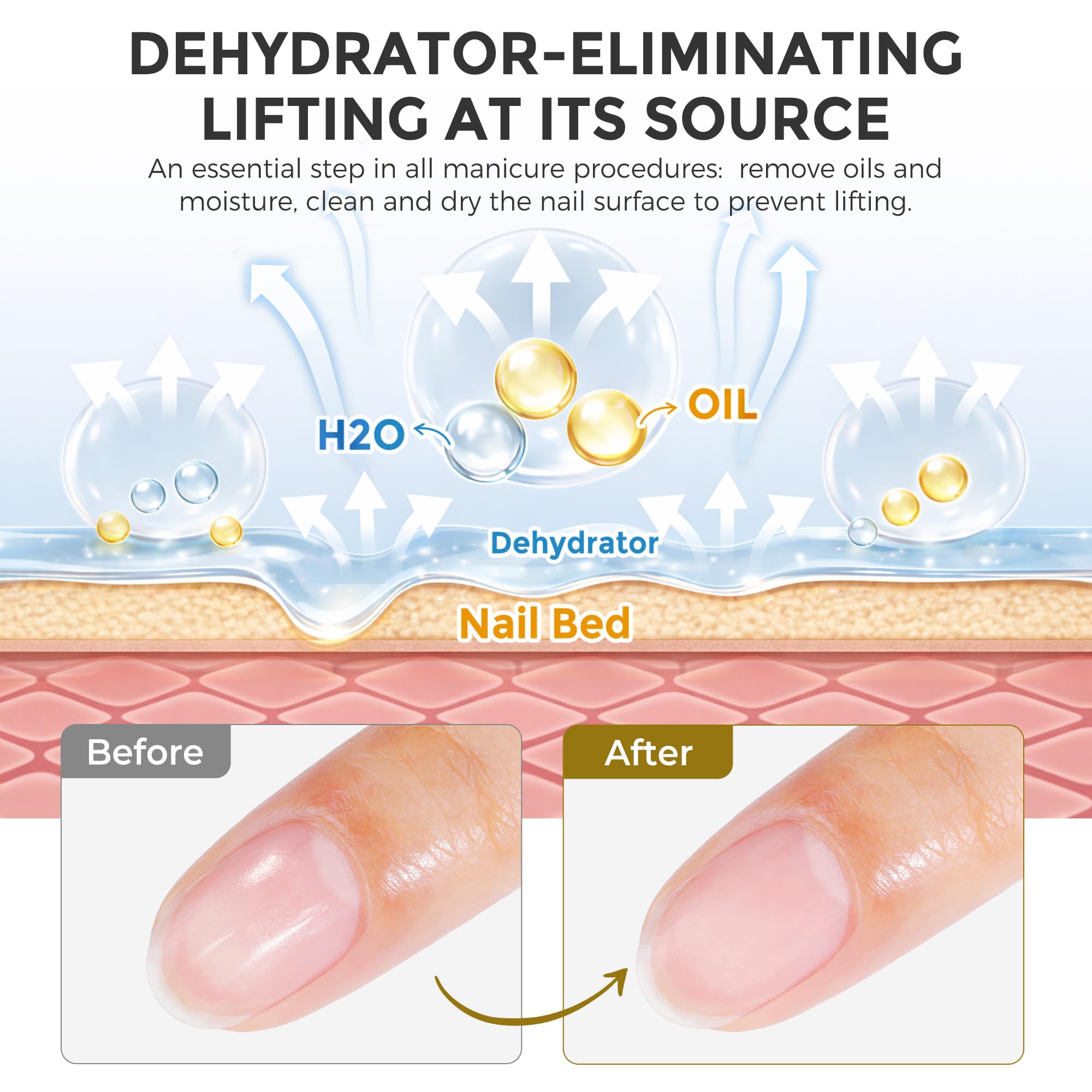 Premium glass bottles for dehydrator and primer