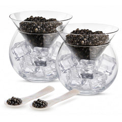 Glass caviar serving set of 2 with 5 oz bowls and ice holders