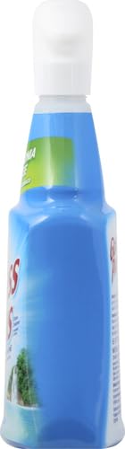 Glass Plus 32 Fl Oz spray bottle with nozzle