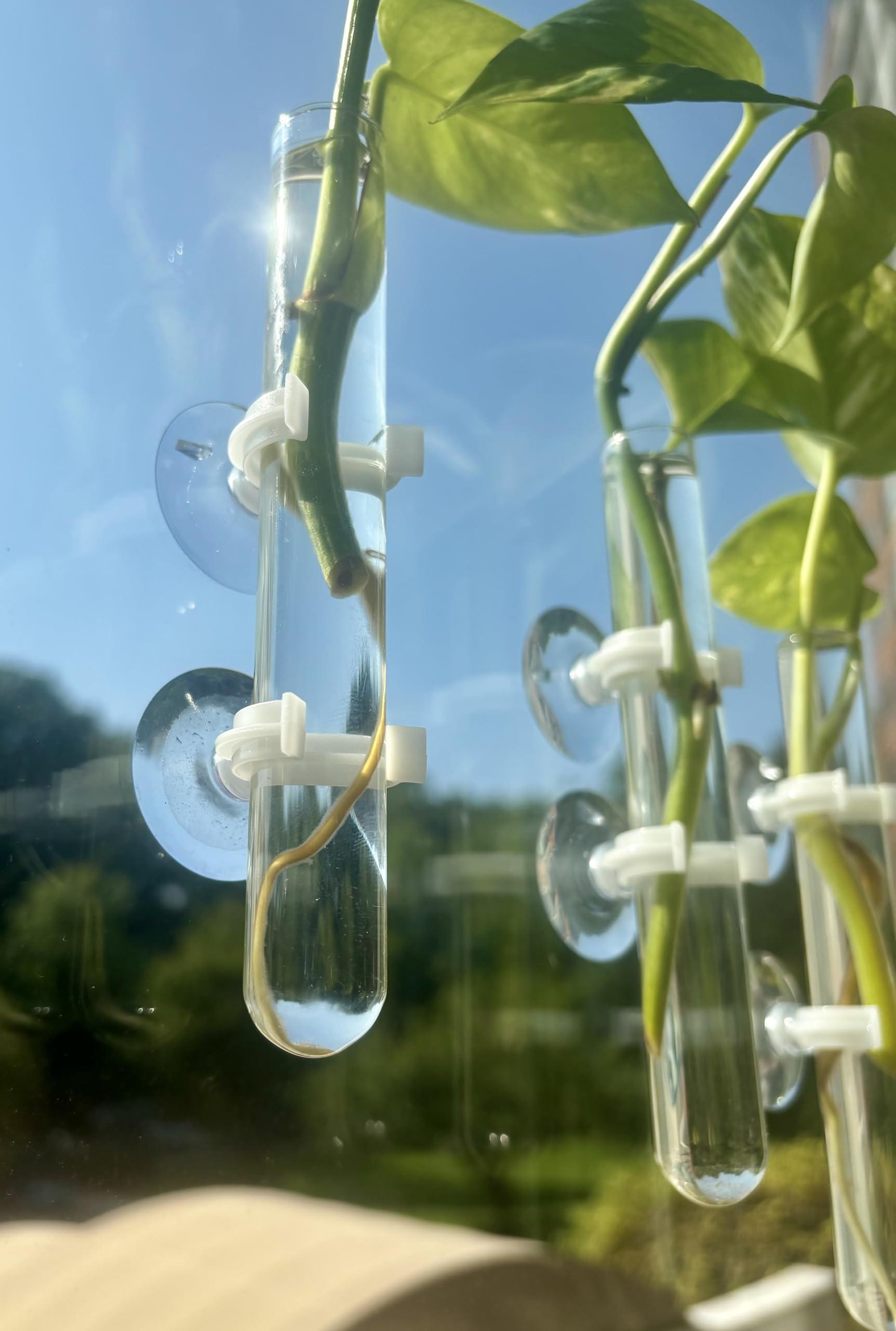 glass tube dimensions 150mm by 18mm