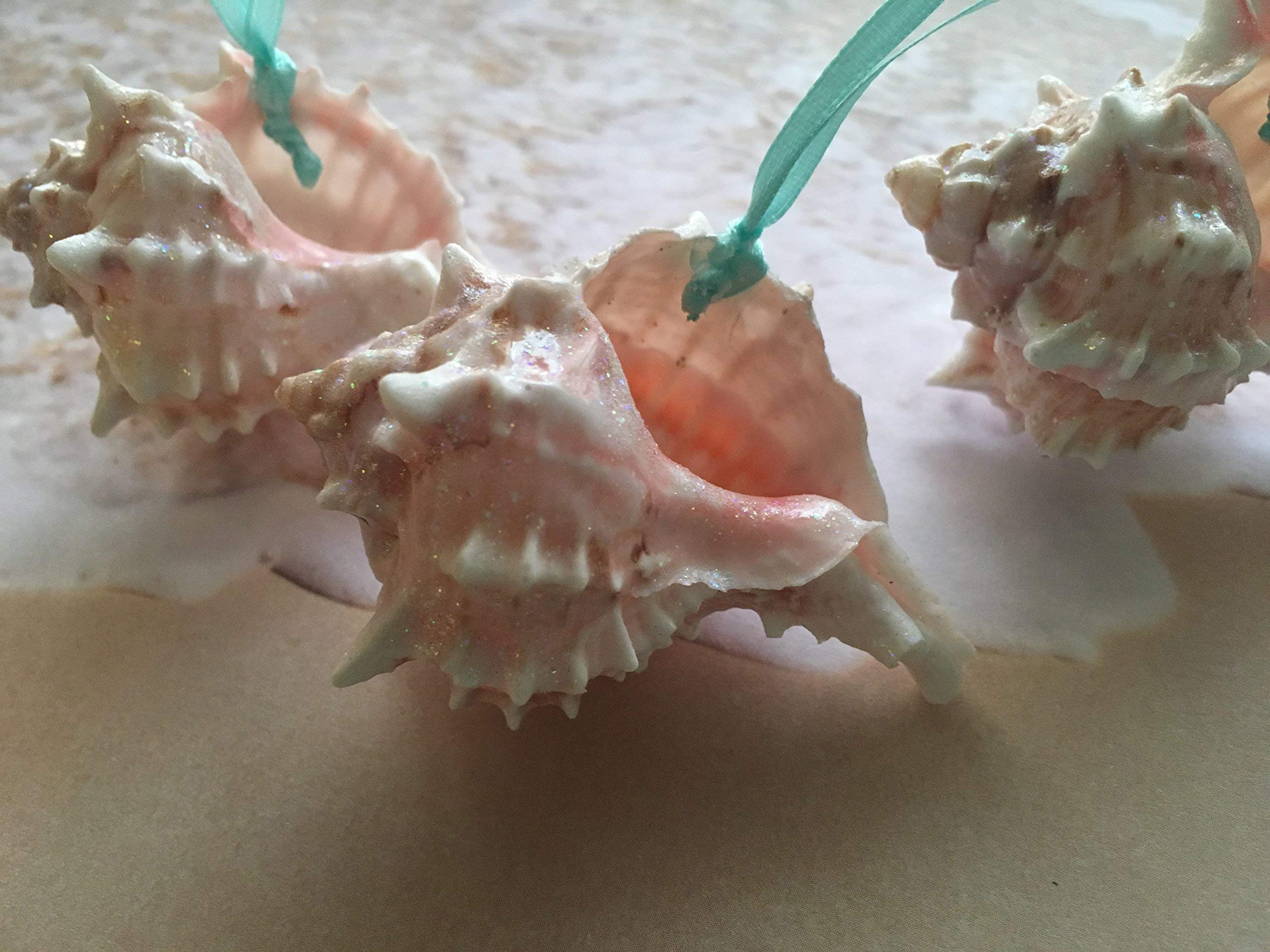 Varied pink hues natural seashell ornament set