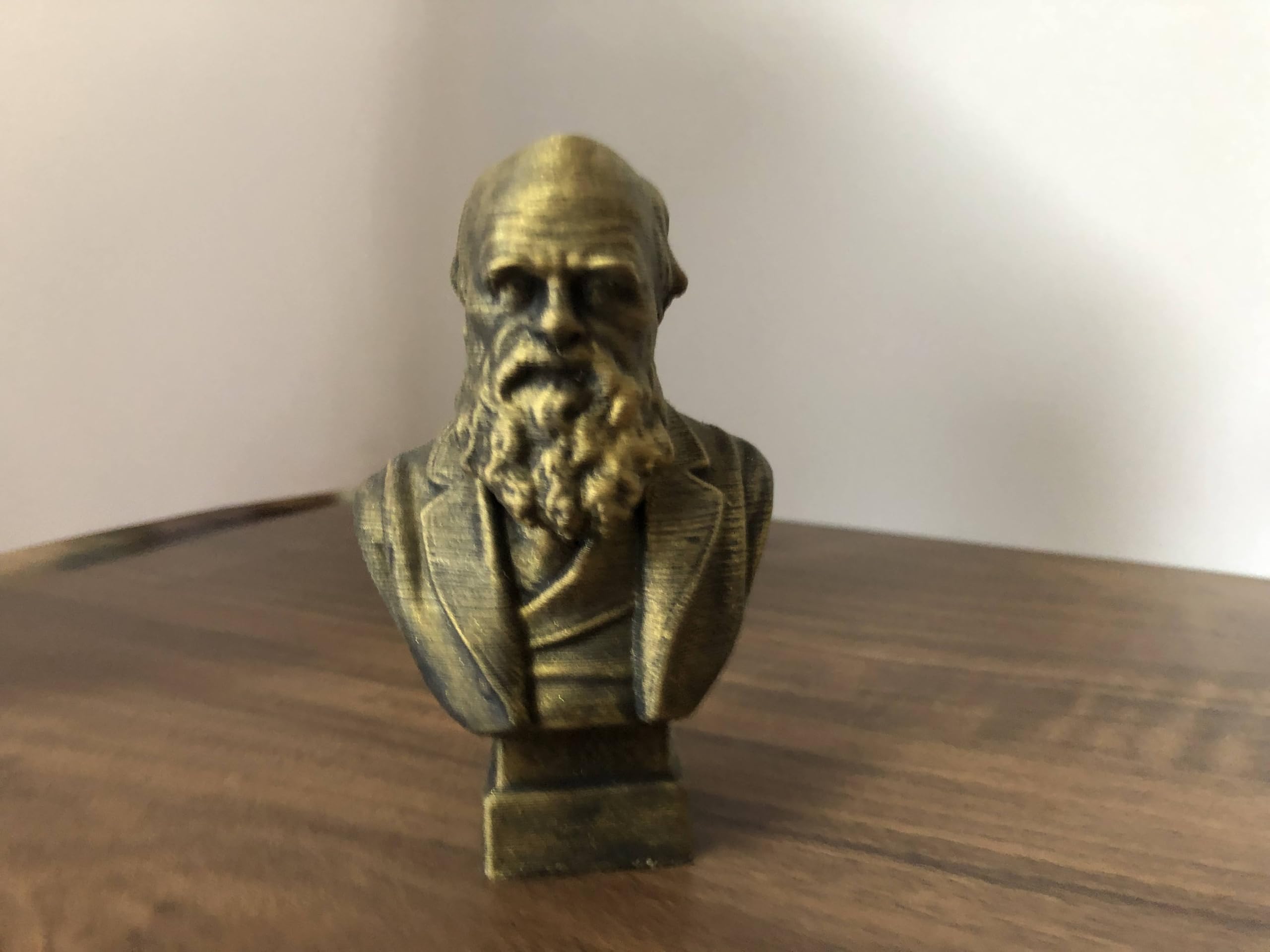 Charles Darwin bust inspired by naturalist and biologist