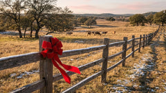 Indoor outdoor velvet bow for trees and wreaths