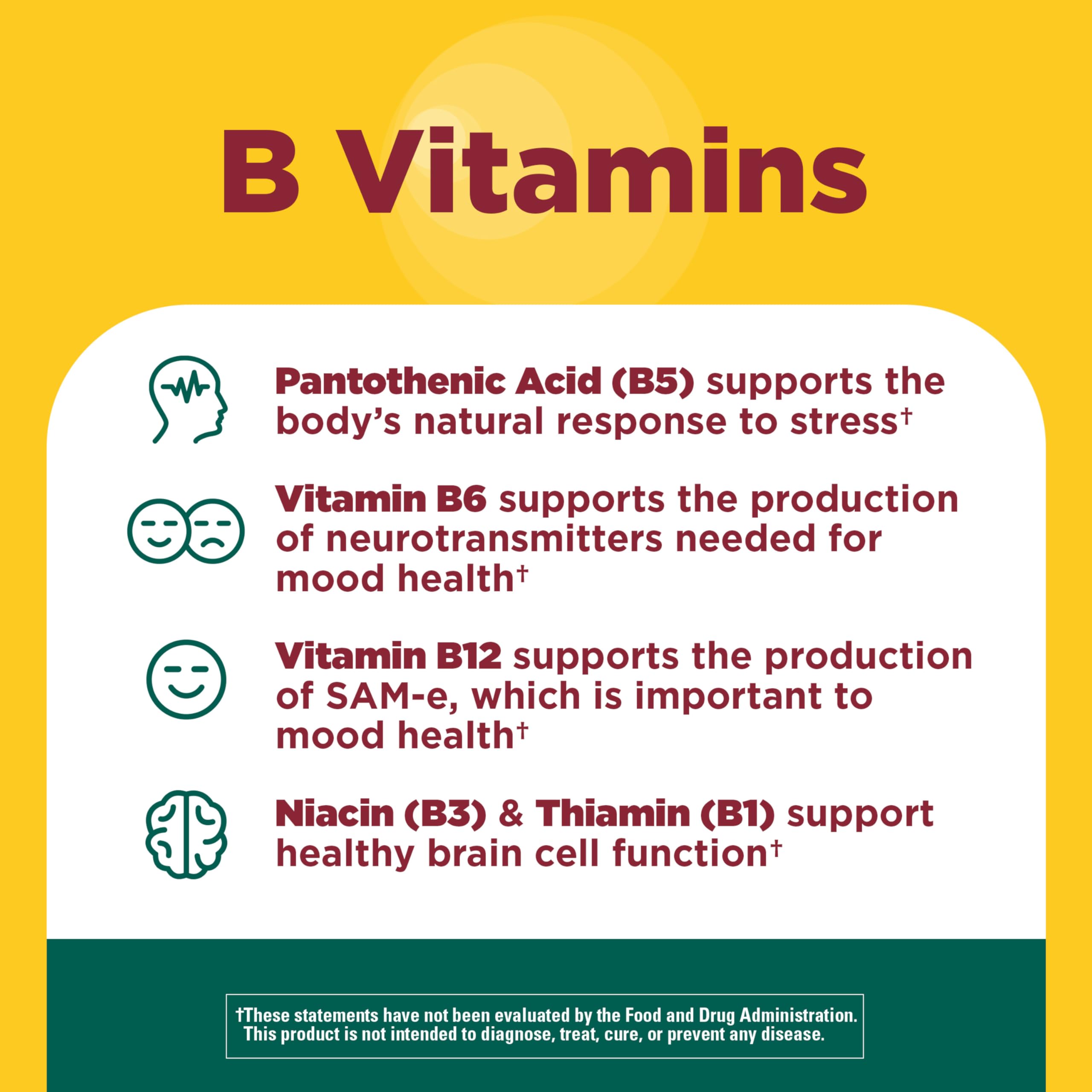 Vitamin B12 B6 Niacin Thiamin Pantothenic Acid for brain health