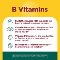 Vitamin B12 B6 Niacin Thiamin Pantothenic Acid for brain health