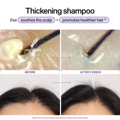 Hair Thickening Shampoo bottle with rosemary oil