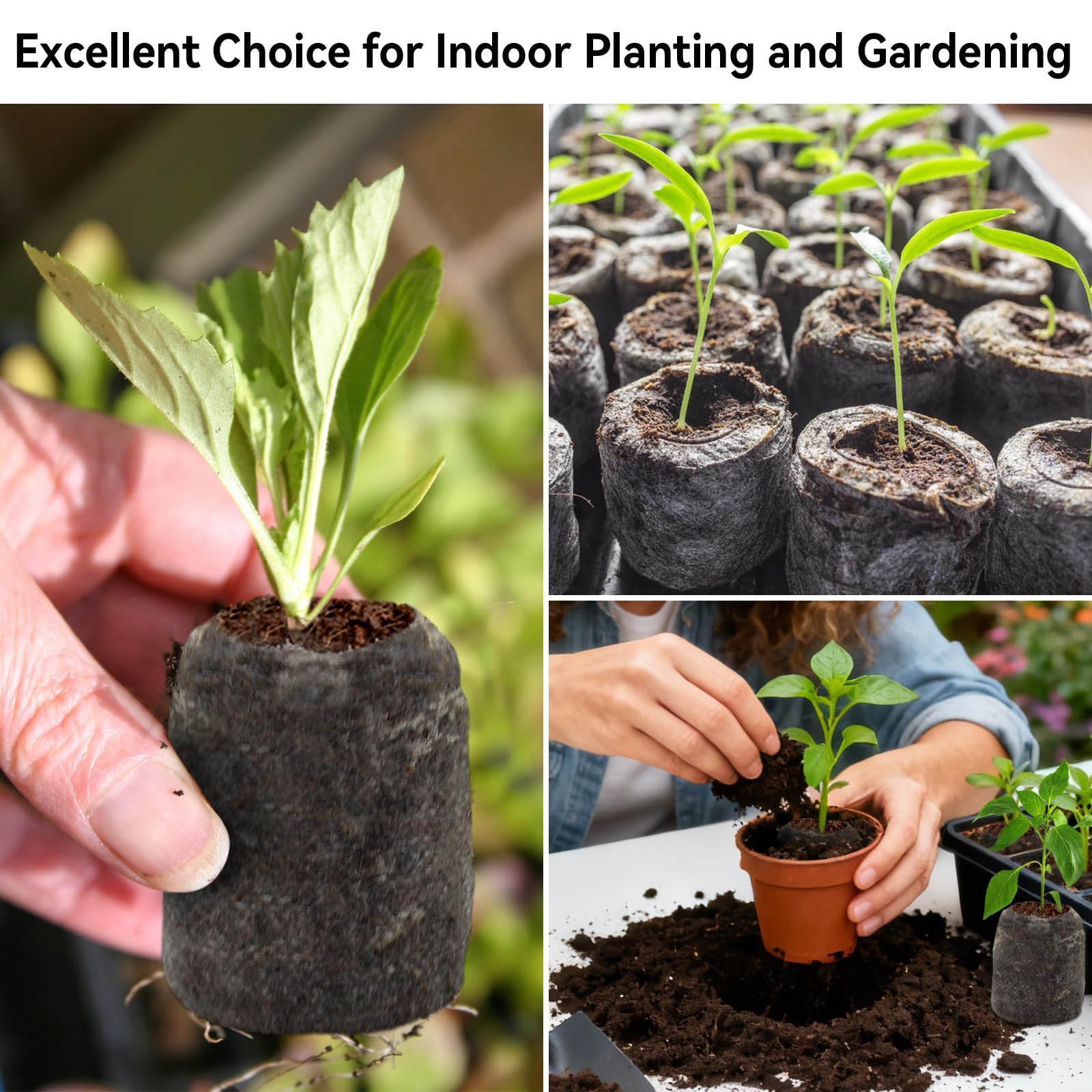 Versatile seed starter pellets for tomatoes peppers herbs and flowers