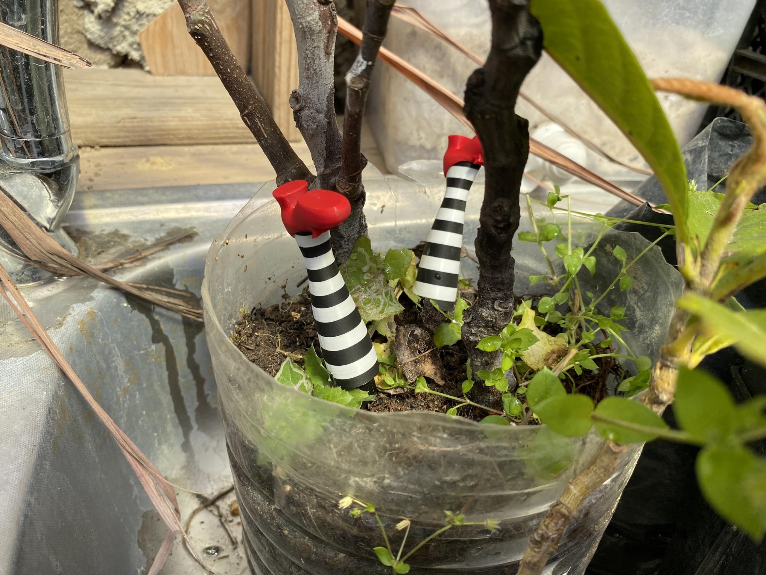 Whimsical witch legs planter decor for home accents