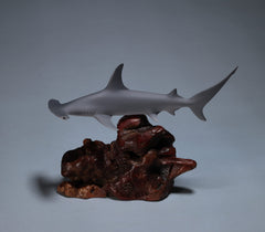 Signed Hammerhead Shark by John Perry on manzanita burl base
