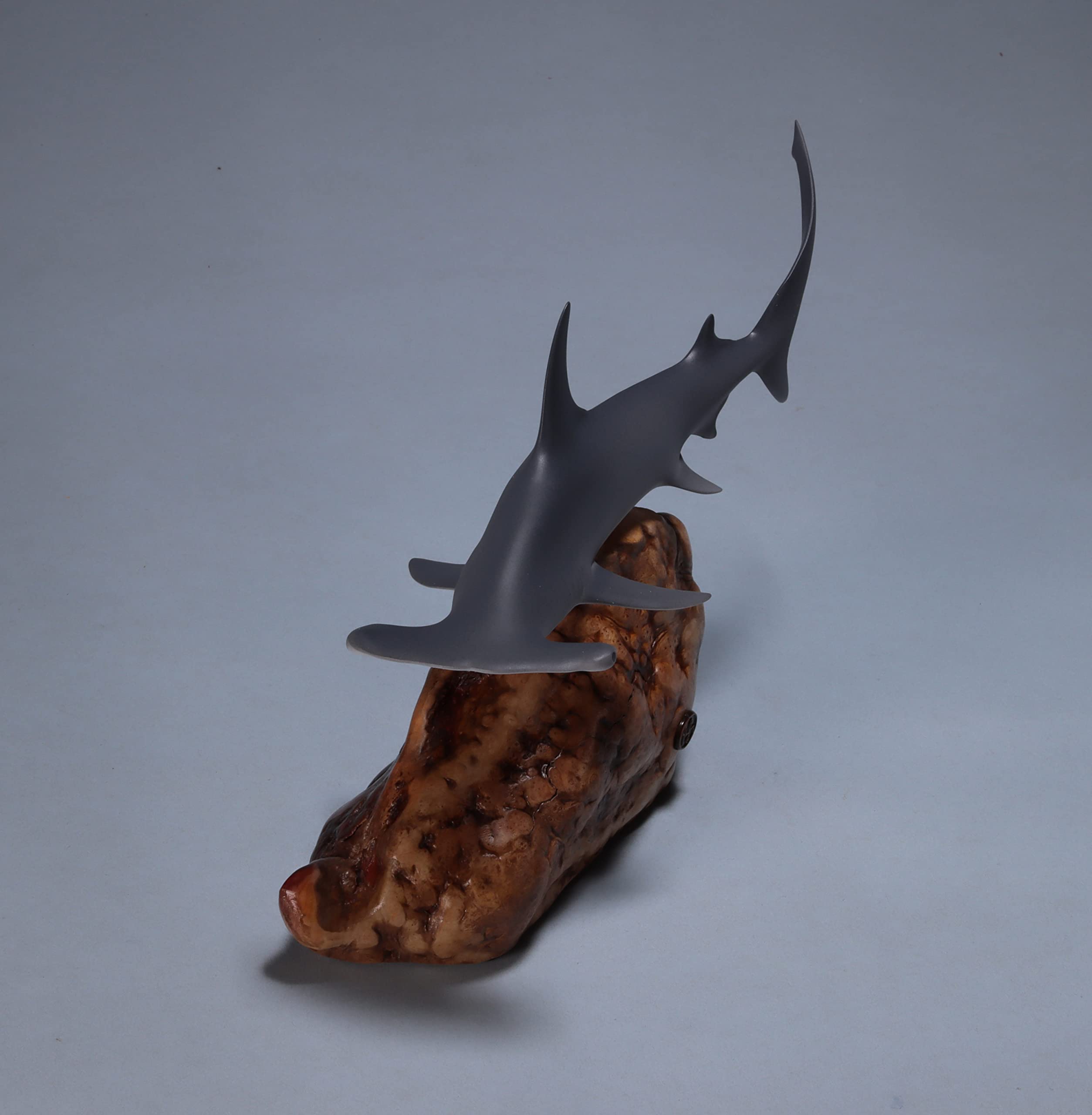 USA made John Perry hammerhead shark signed piece