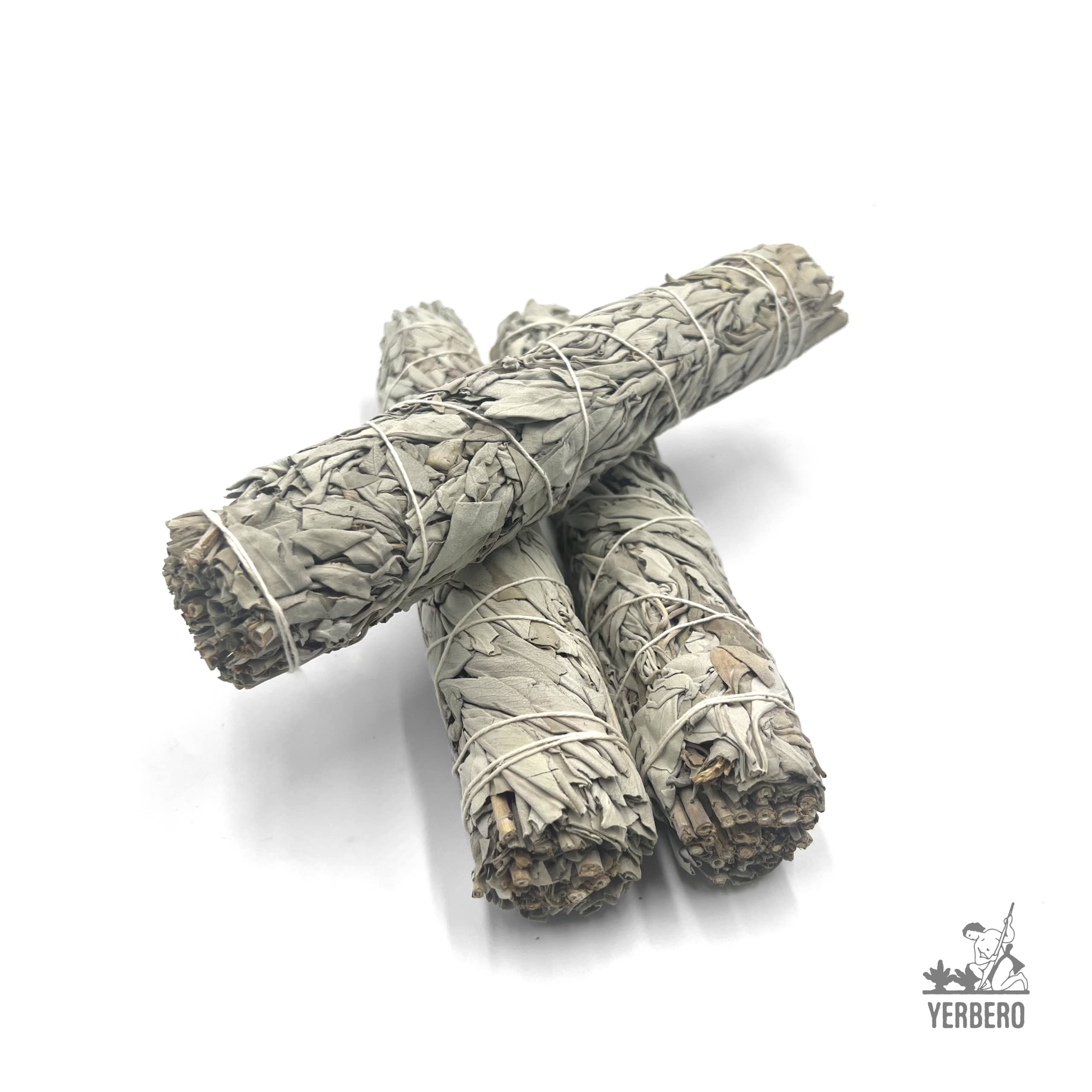 Sage rolls 4 to 5 inches tall and 1 to 1.5 inches wide