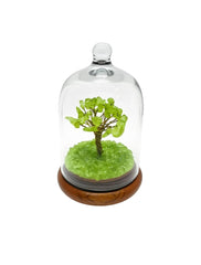Crystal bonsai tree under glass dome on wooden base