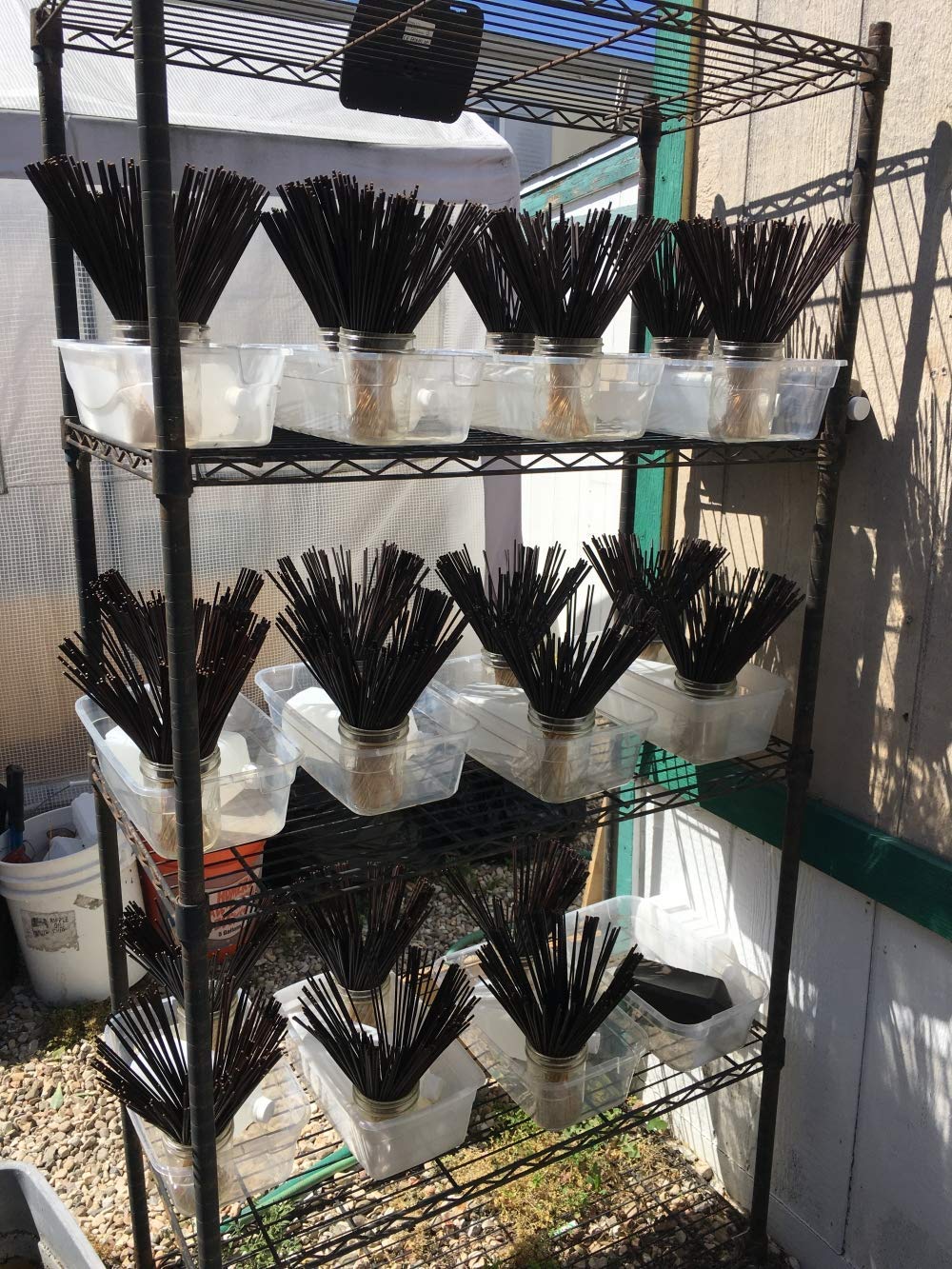 Handcrafted incense from Los Osos California