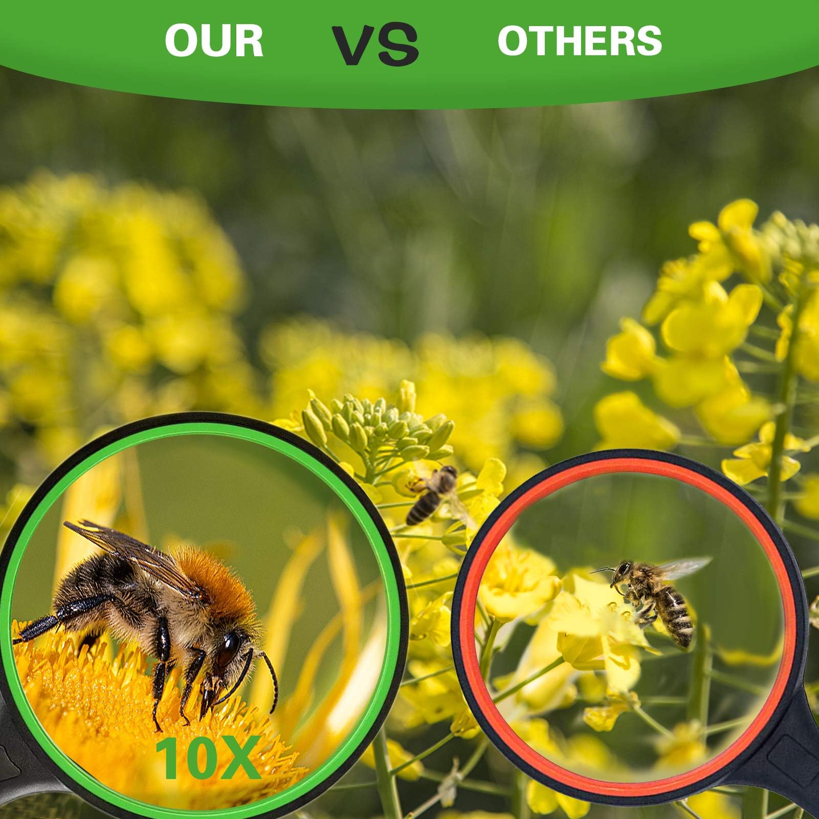 Kid friendly magnifier for insect observation and nature study