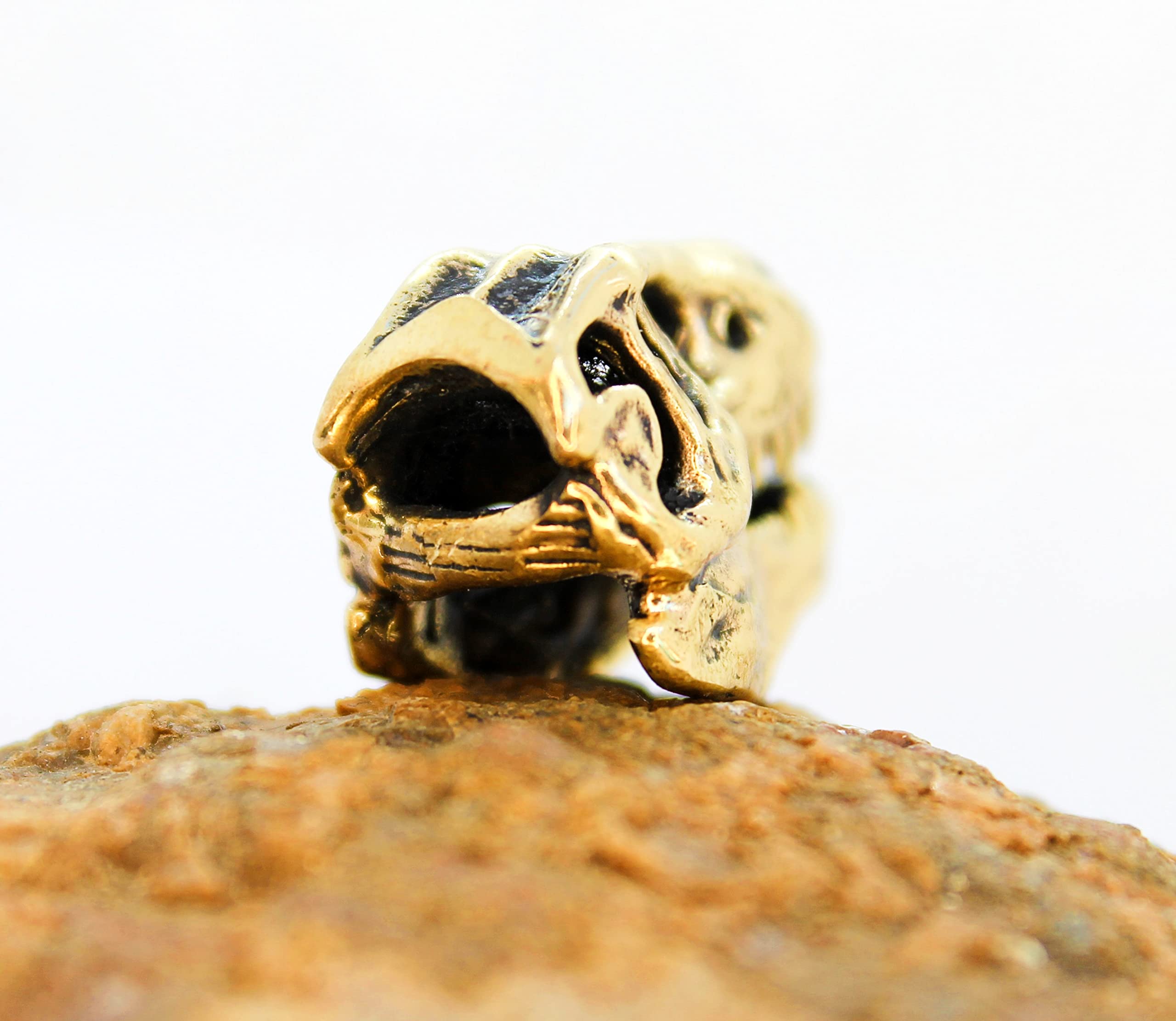 Decorative dinosaur skull sculpture image