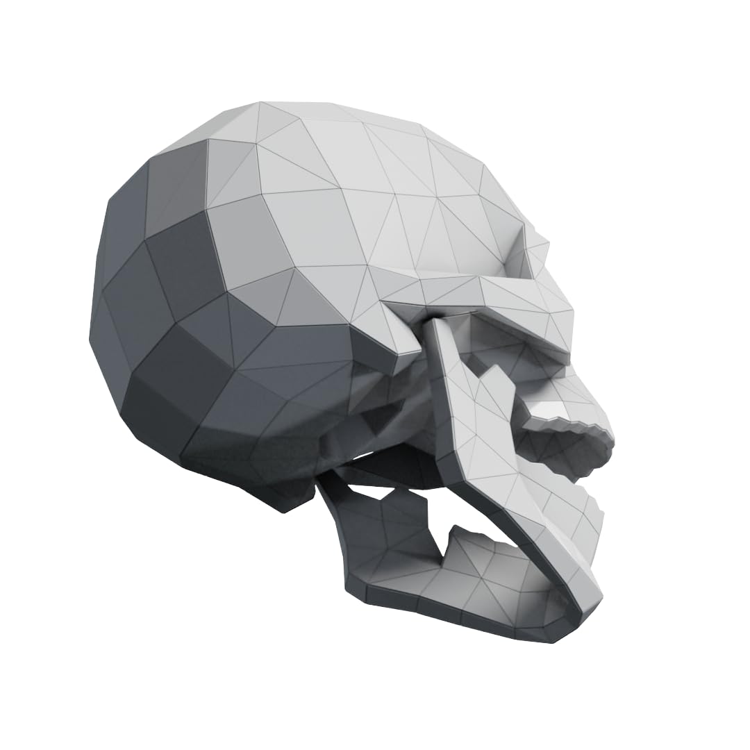 White skull papercraft with real size anatomy image