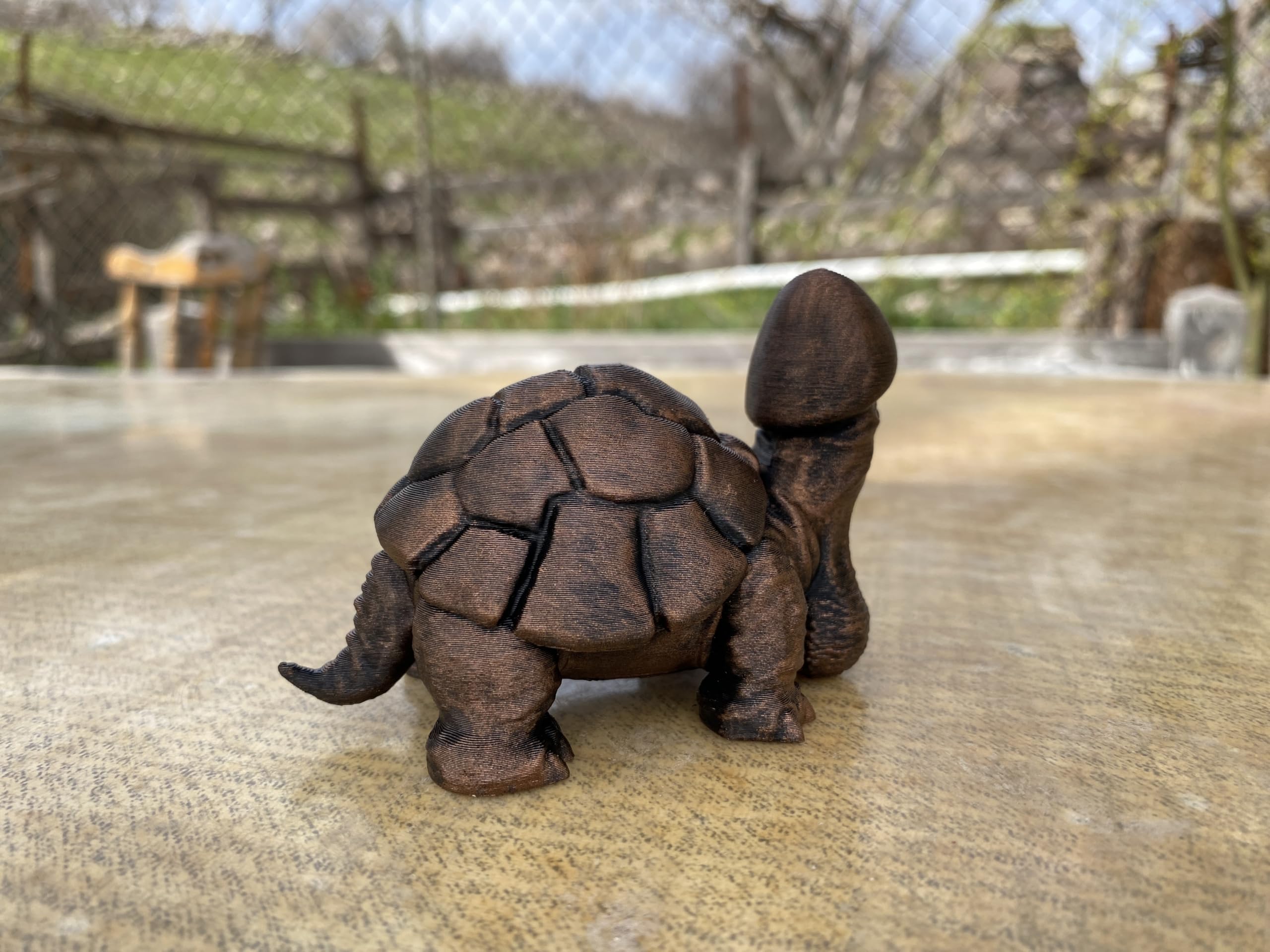 Gag gift penis turtle for office and home decor