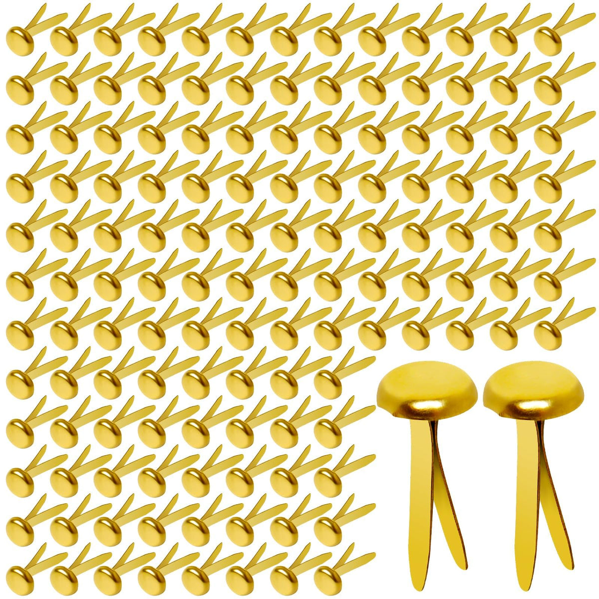 Hapy Shop Paper Brass Fasteners 8mm diameter 300 pack