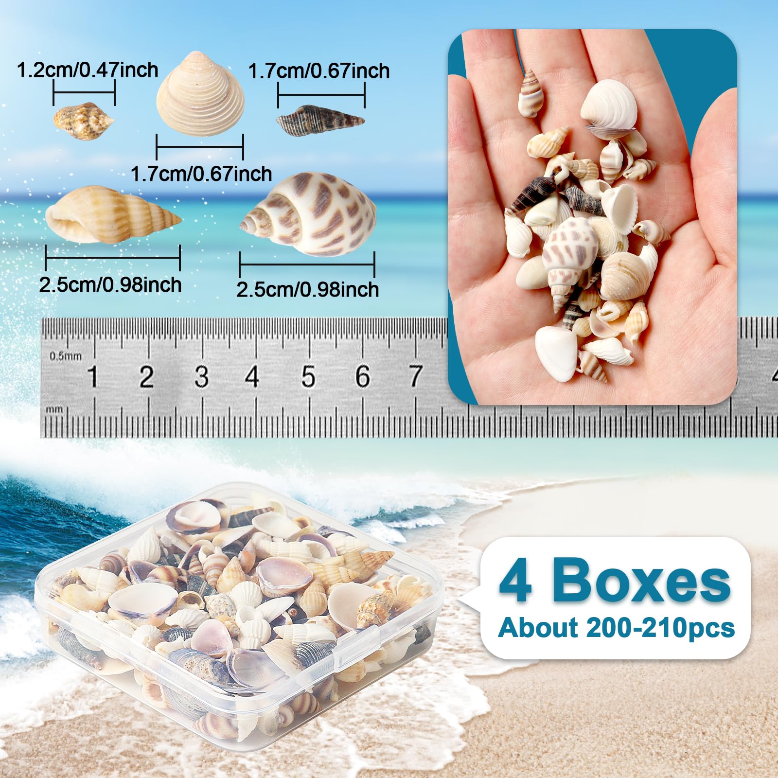 Mini sized seashells with natural textures and variations