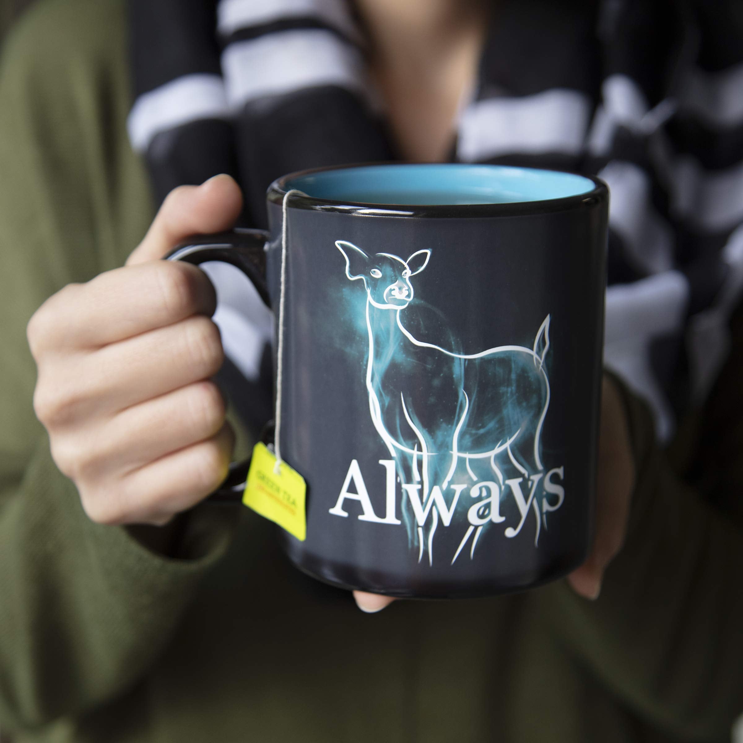 Harry Potter heat changing mug ideal gift for fans of books and films