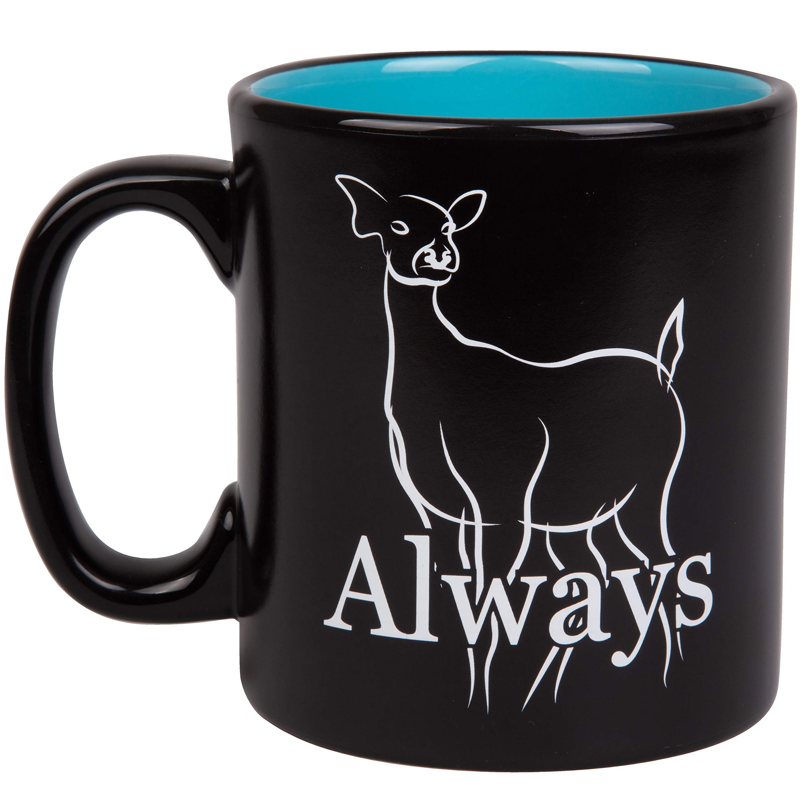 Officially licensed Harry Potter ceramic mug for book and movie fans