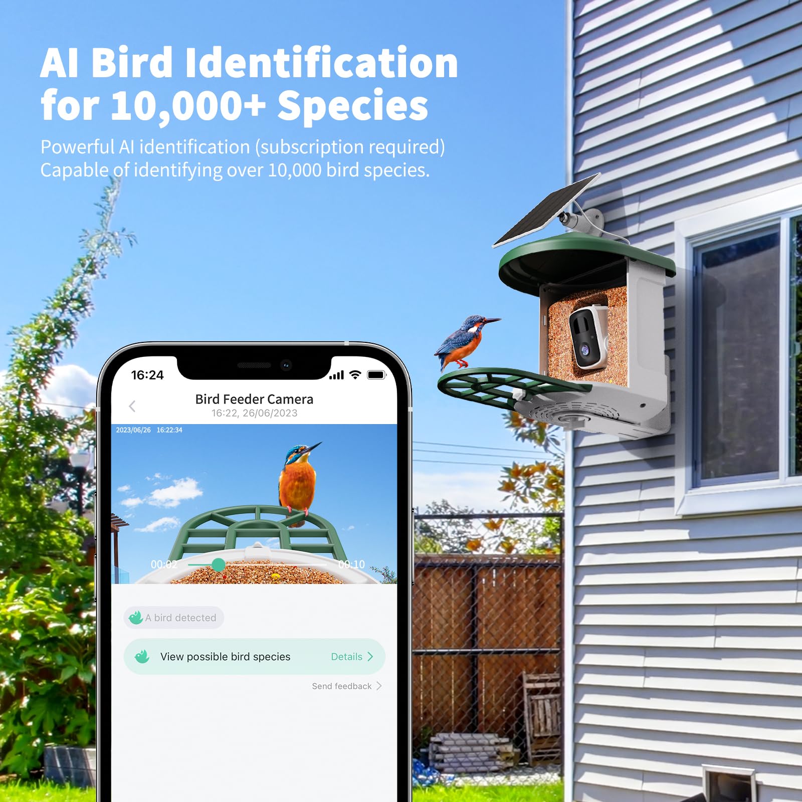 Bird feeder camera showing 2K video live stream