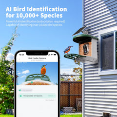 Bird feeder camera showing 2K video live stream