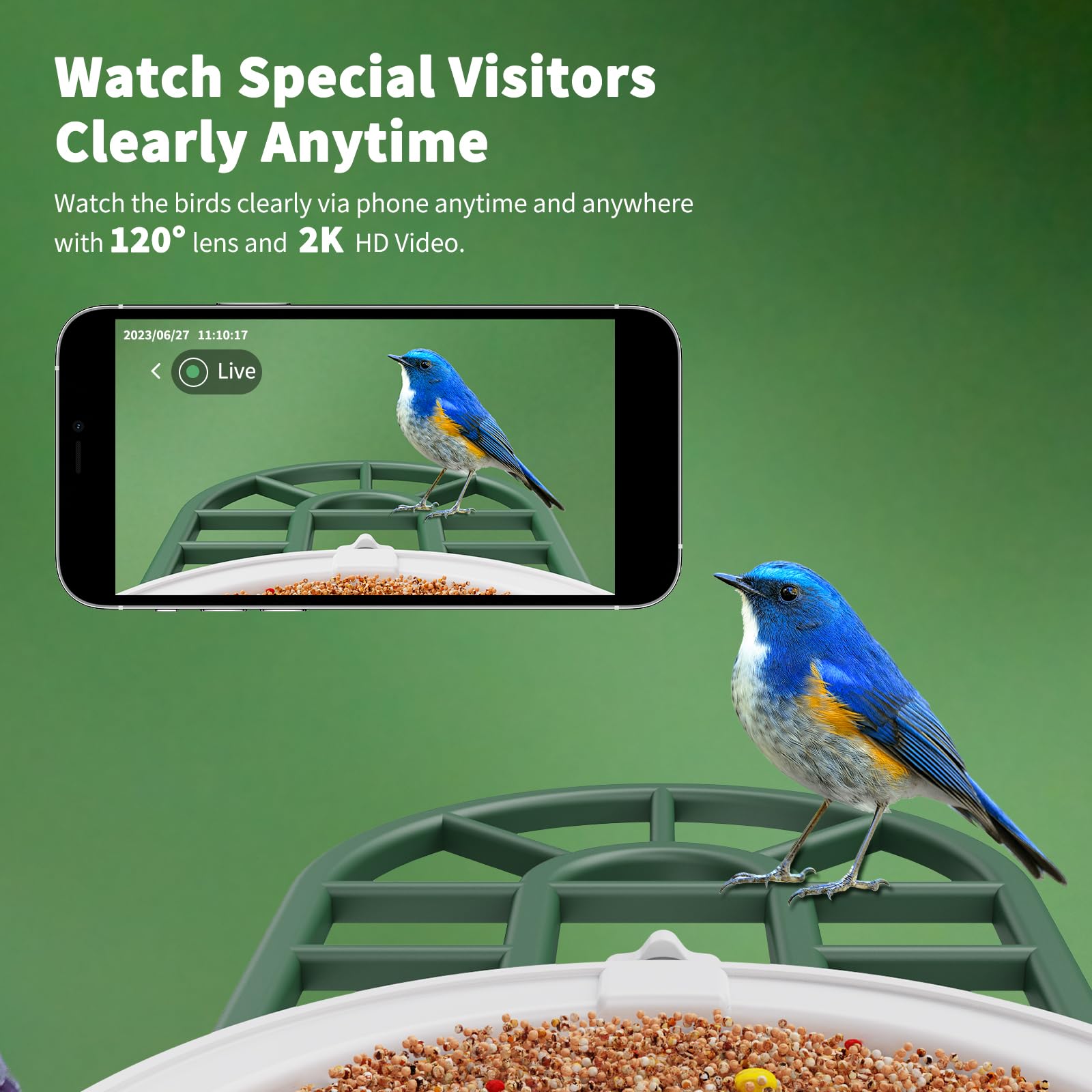AI identifies 10000+ bird species on HARYMOR feeder