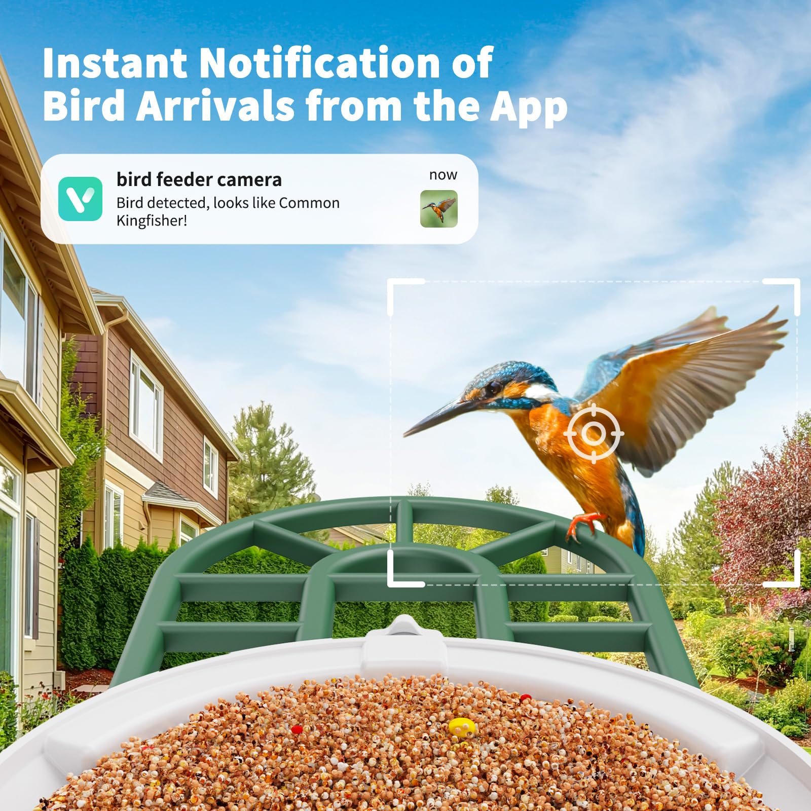 Cloud and memory card options for bird feeder