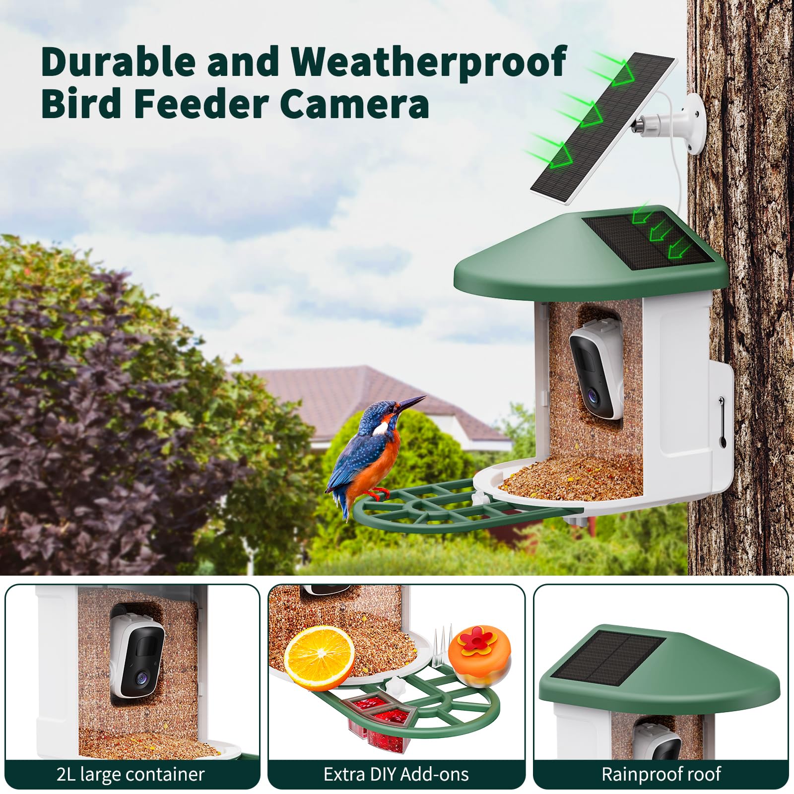 Dual solar powered bird feeder with external solar panel