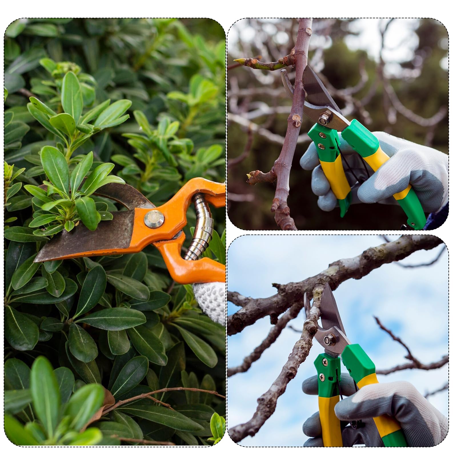 Two sharpeners included for pruners and pocket knives