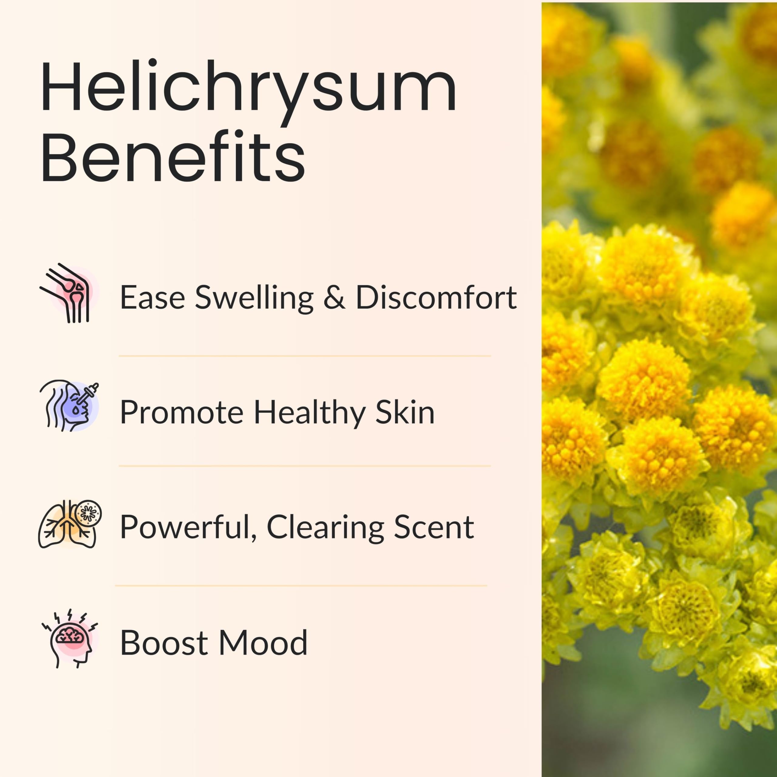Helichrysum essential oil for skin care