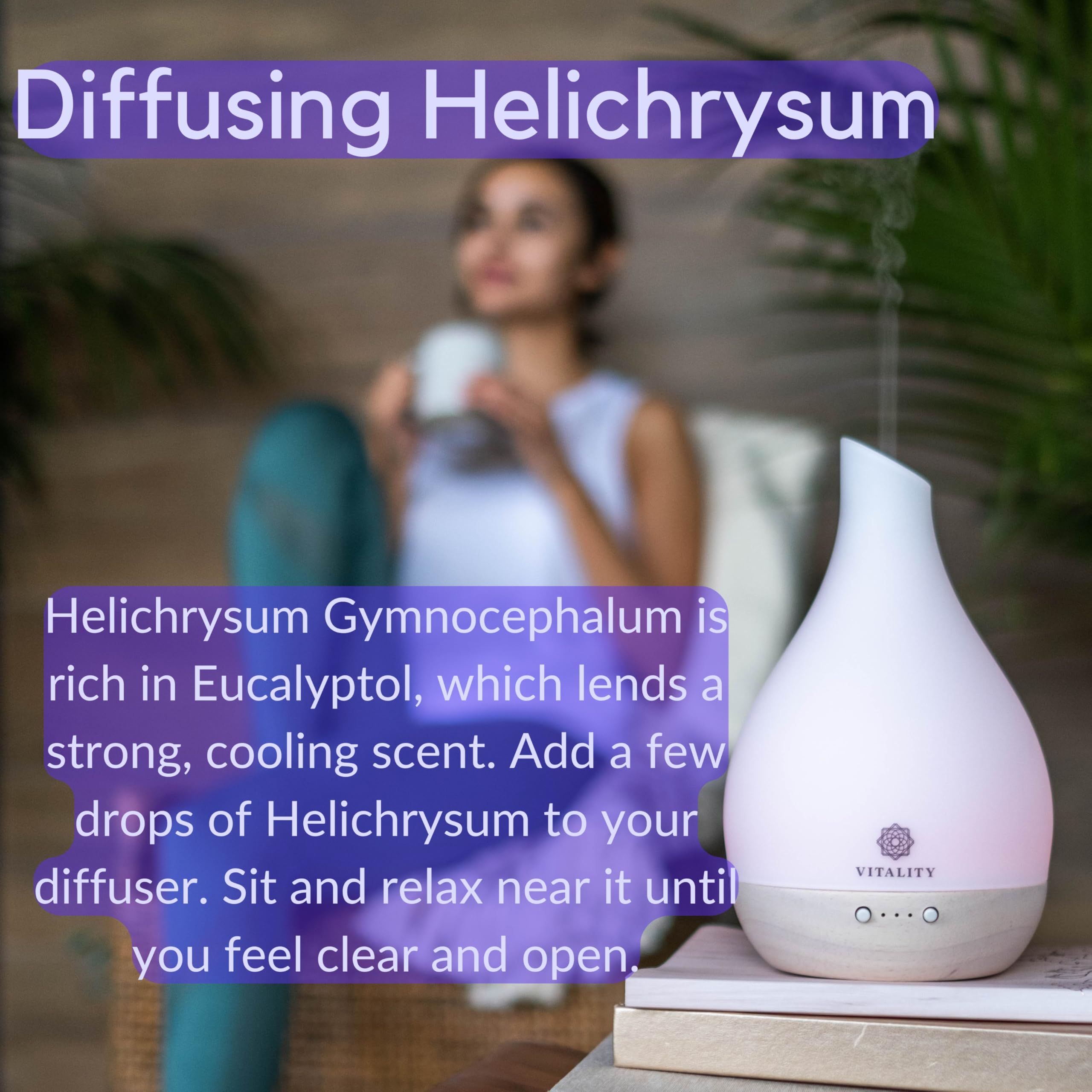 Helichrysum Gymnocephalum oil vegan formula