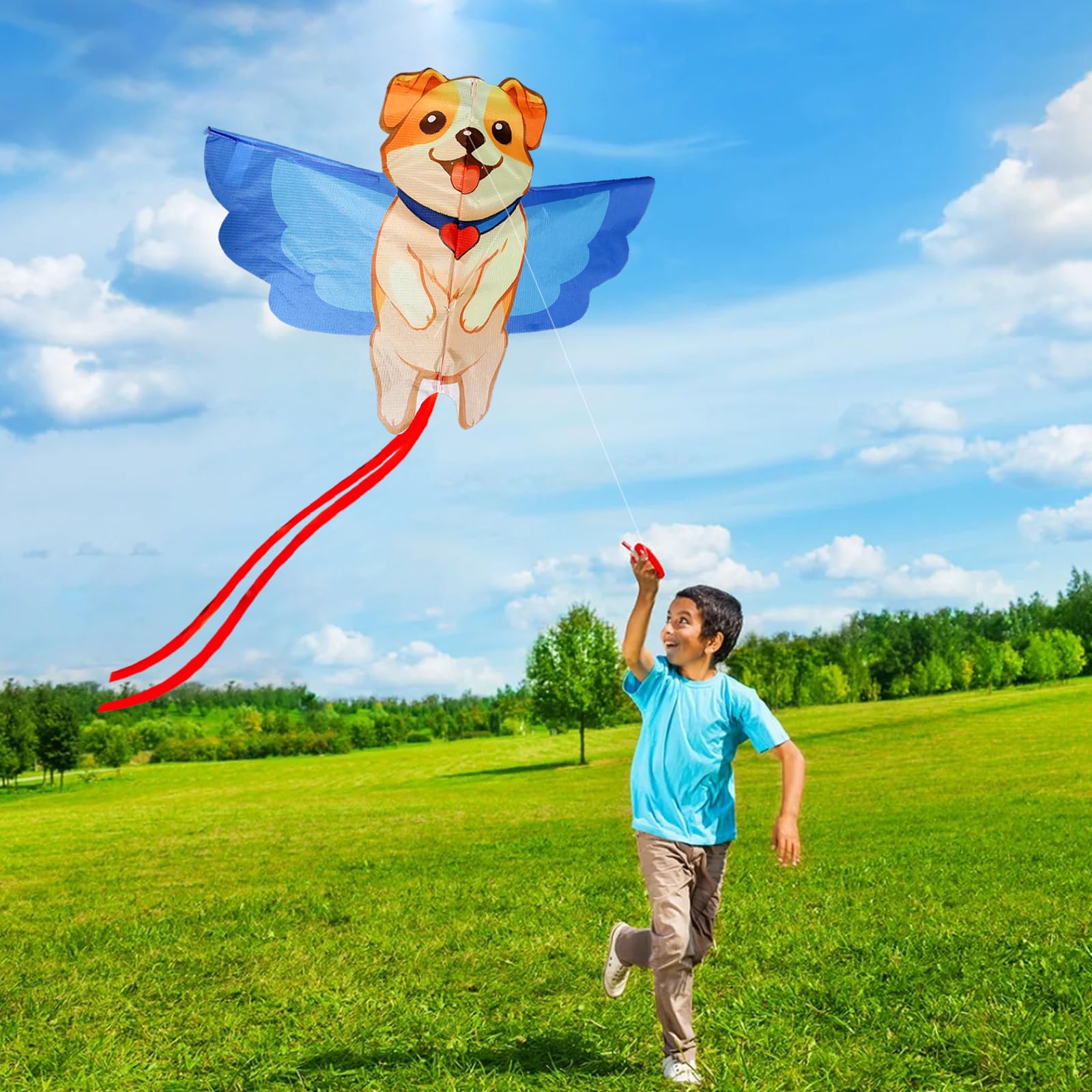 Kite set for kids and adults Hengda