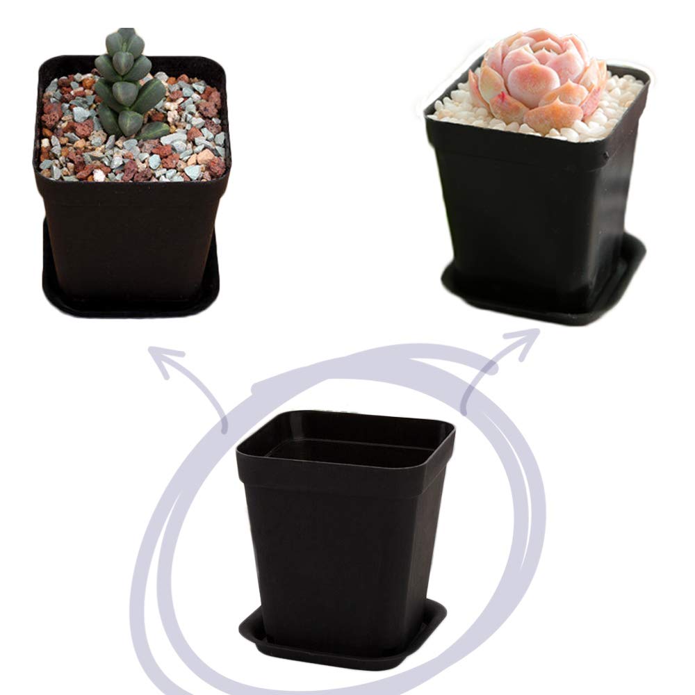 Herb pot by OJYUDD 24 pack for kitchen or balcony