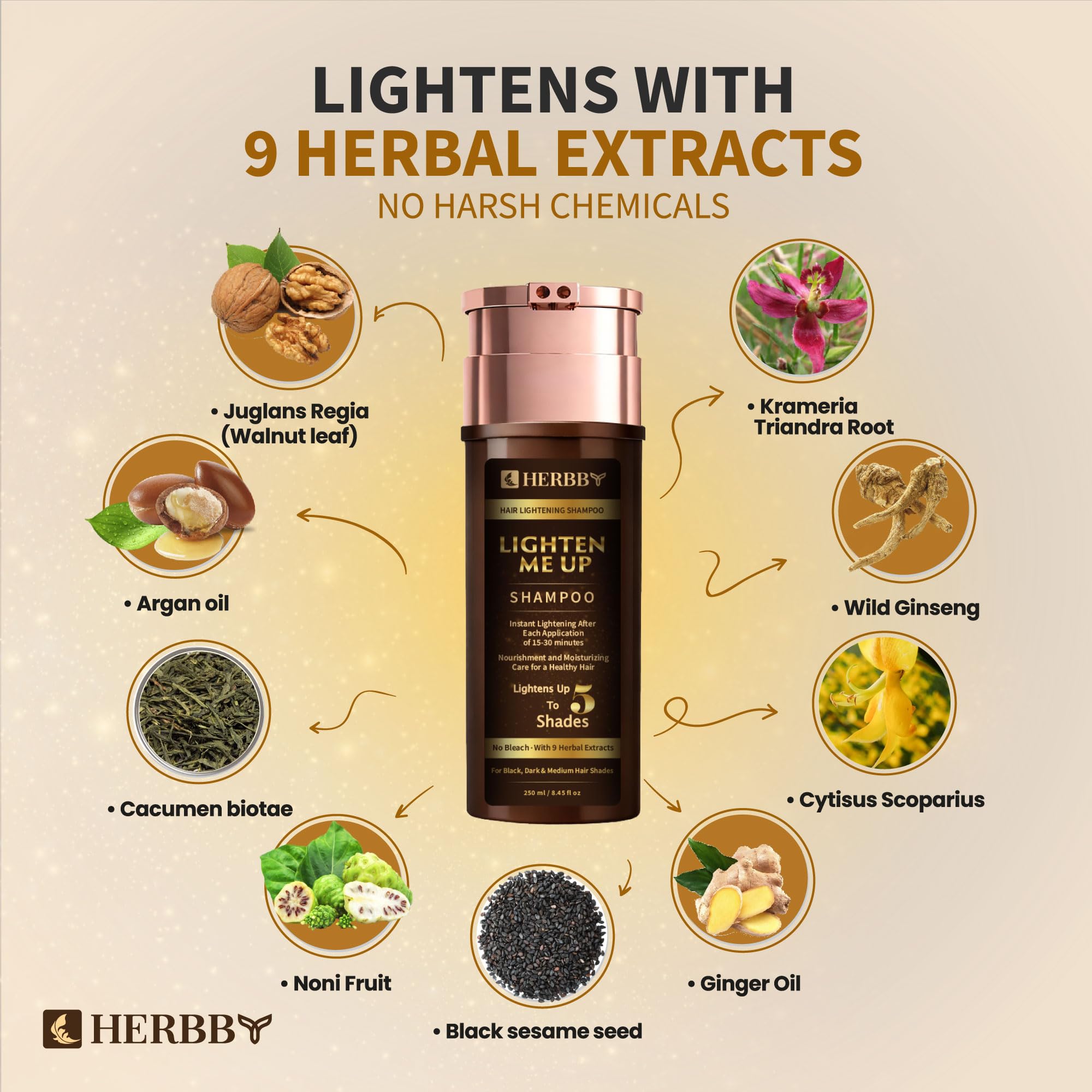 Dark hair preparation for HERBBY lightening treatment
