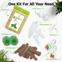 Genovese Basil Cilantro Mint Parsley and Dill seeds in kit
