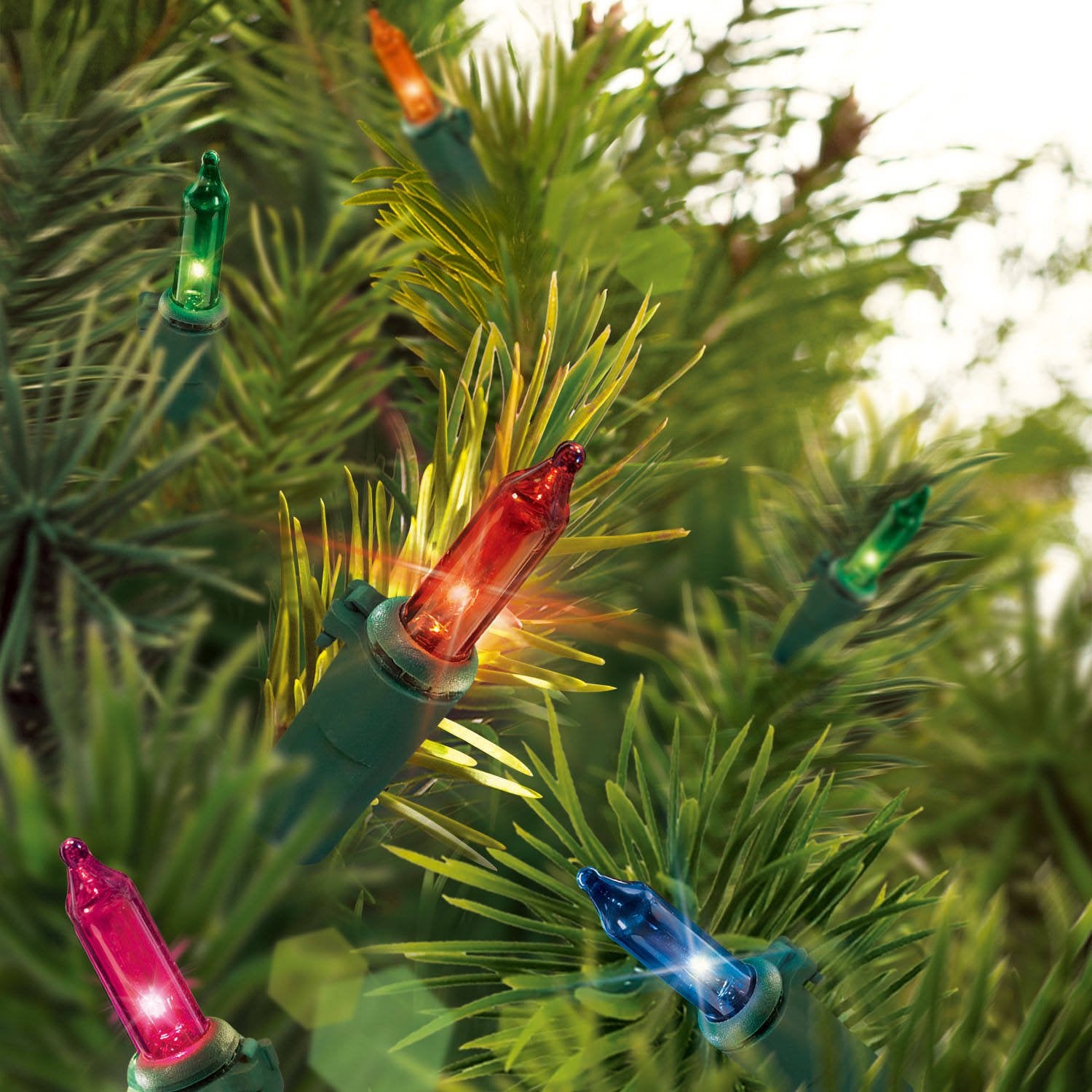Indoor outdoor use Holiday Time mini lights green wire two pack image