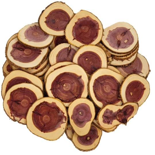 Natural unfinished cedar wood slices 3/4 to 1 1/2 inch