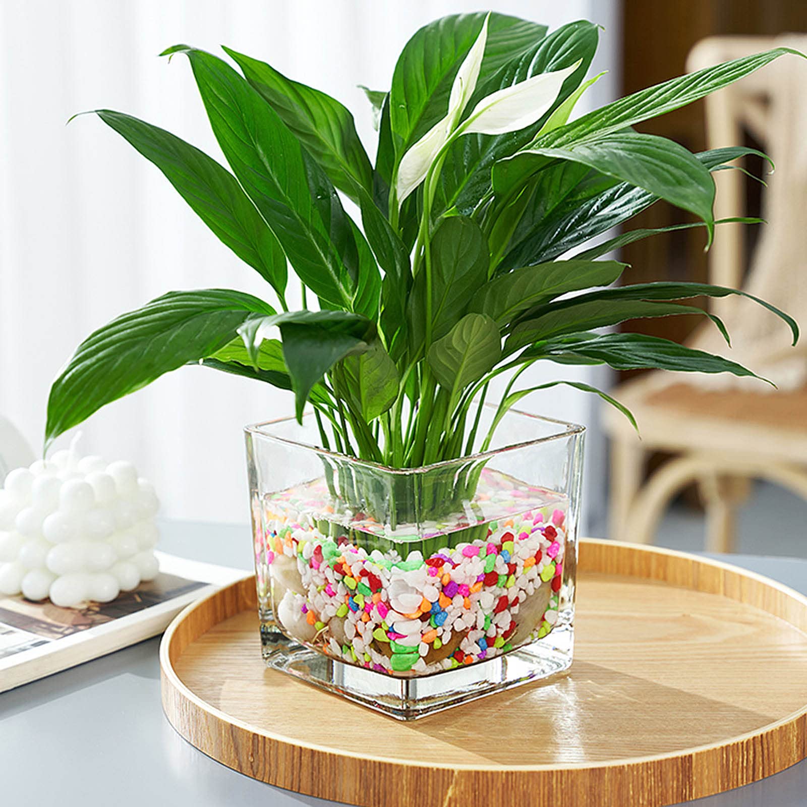 vase-packaged-in-thick-box-to-protect-arrival