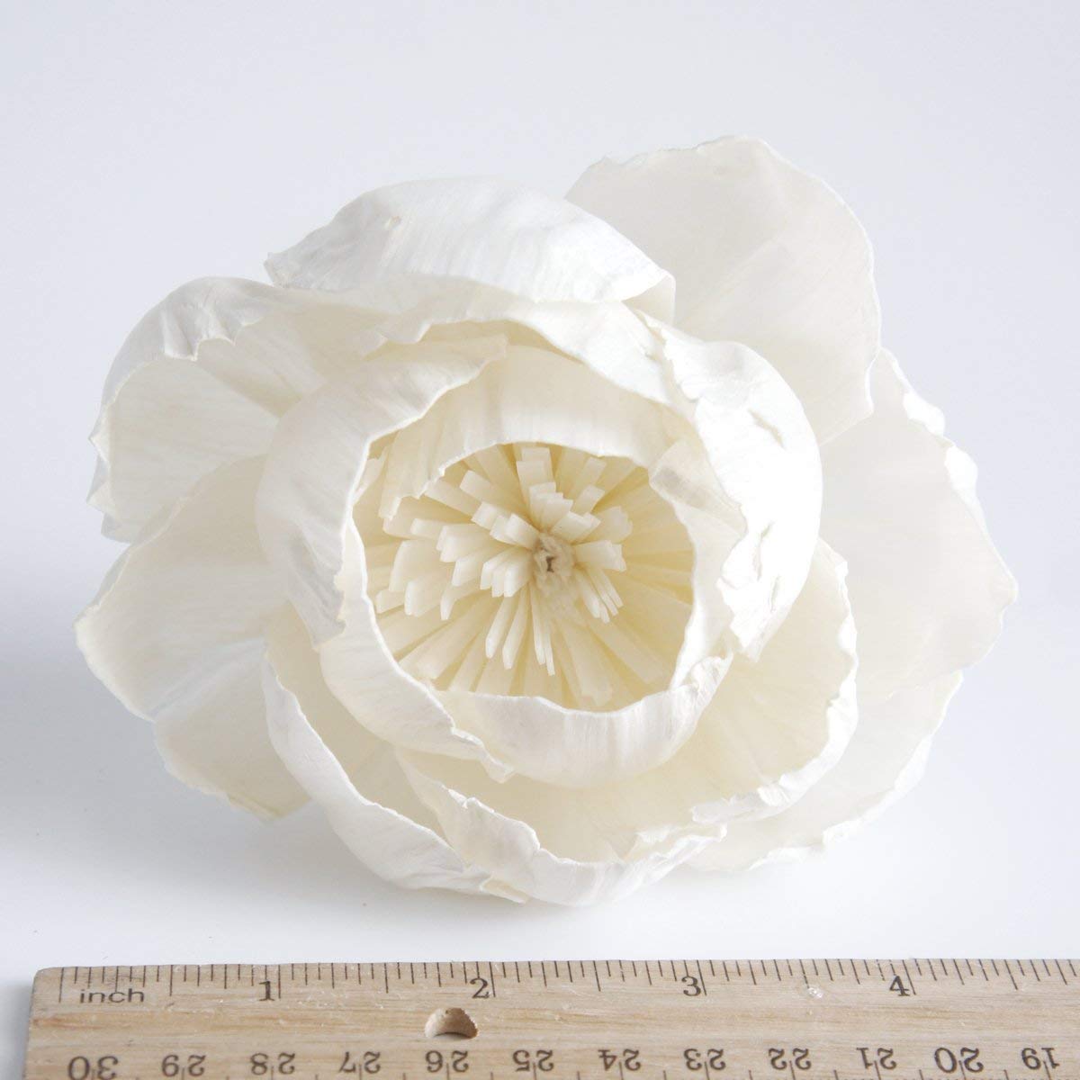 two sola flowers not including vase or fragrance